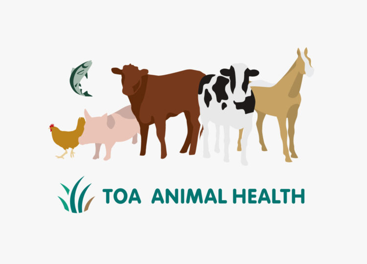 TOA ANIMAL HEALTH